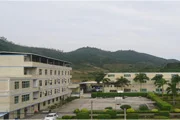 The whole picture of the company