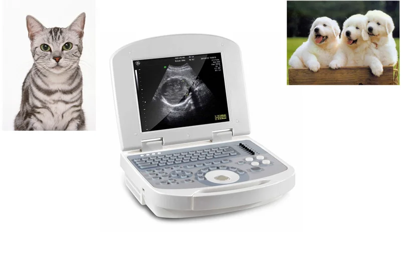 Laptop VET Ultrasound Scanner — view 2
